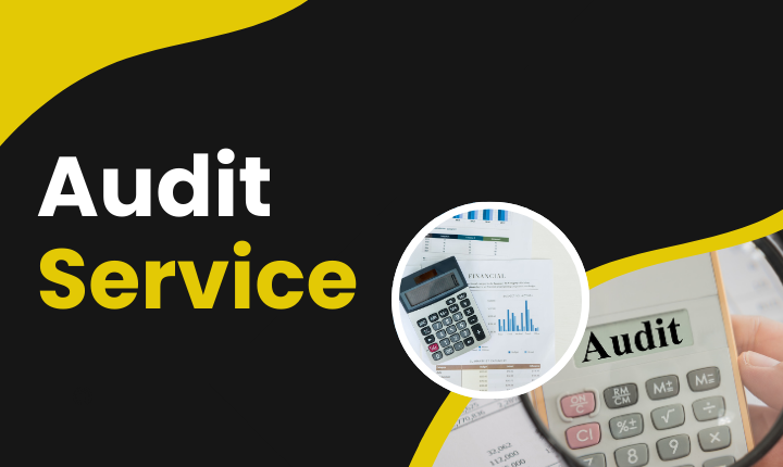 Audit Services